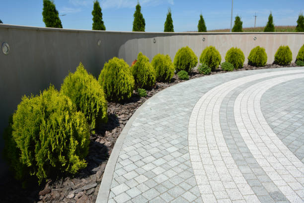 Best Decorative Driveway Pavers  in Westwood, KY